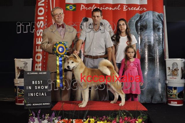 Clique sobre a foto para fechar